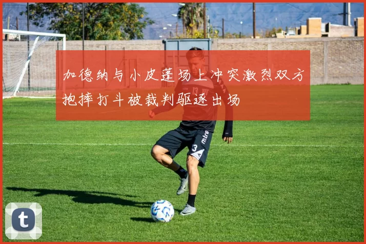 加德纳与小皮蓬场上冲突激烈双方抱摔打斗被裁判驱逐出场