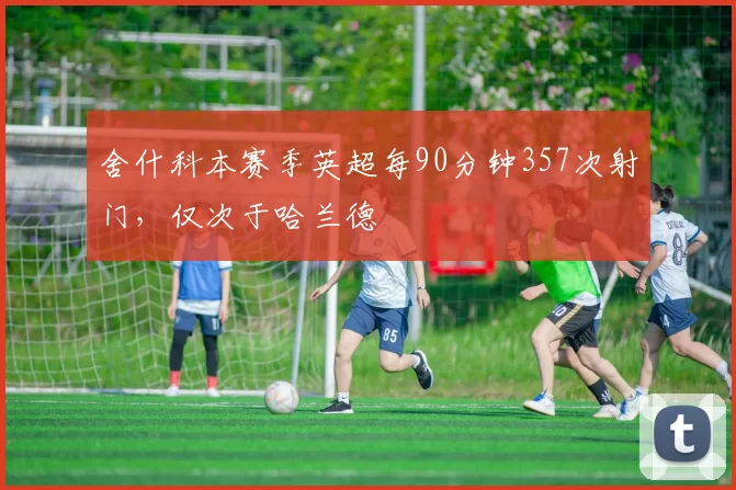 舍什科本赛季英超每90分钟357次射门，仅次于哈兰德