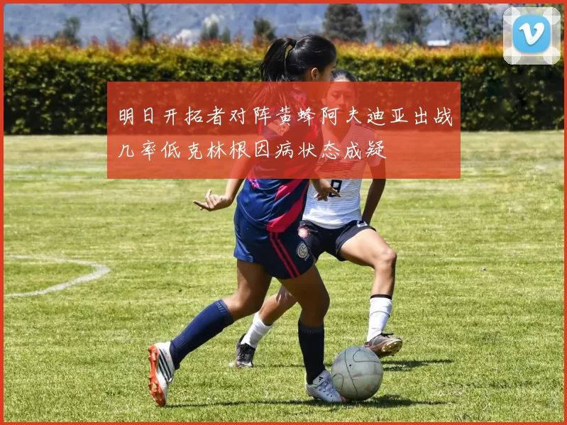 明日开拓者对阵黄蜂阿夫迪亚出战几率低克林根因病状态成疑